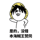 是的,没错 本海贼王赞同 - 金馆长表情图片大全