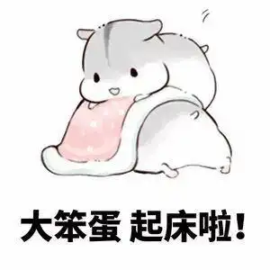 大笨蛋起床啦搞笑表情包斗图表情