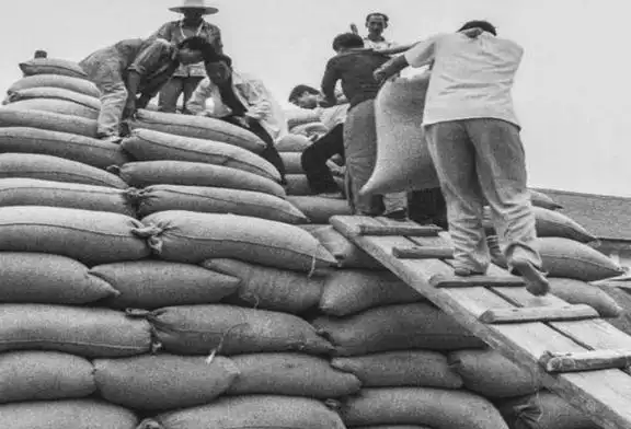 为了交公粮,起早排队,但大多数人家都是自带干粮(红薯面饼子)用笼布包