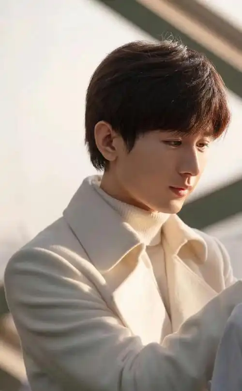 成毅新剧是女婿见家长模板##成毅南风知我意