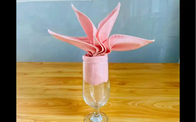 餐巾折花-春芽四叶/荷花