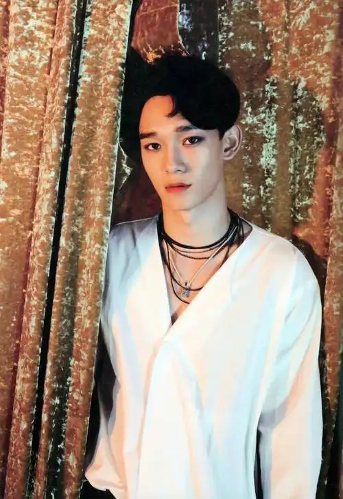 exo金钟大表演现场公开粉丝全部关闭应援灯用一片黑海表态度