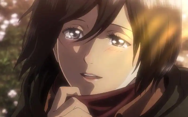 三笠 我的三笠/(ㄒoㄒ)/~~说好的会永远给三笠围上围巾的呢?