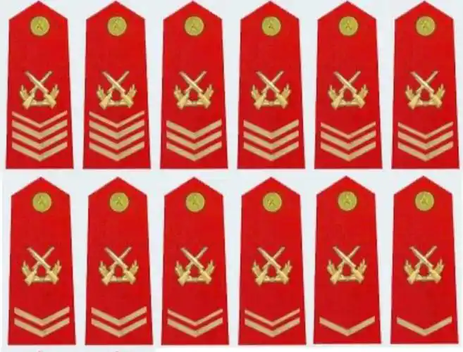 毛启国:武警07式"士官警衔"肩章鉴赏