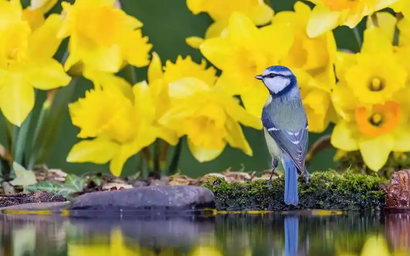 必应壁纸月度100秒大赏!2021年3月