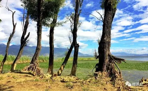 西南这条网红的环海公路风景随手拍都是壁纸