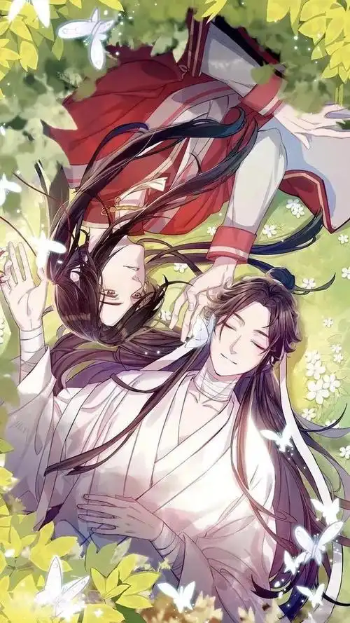 动漫人物|天官赐福|花城谢怜_网易订阅