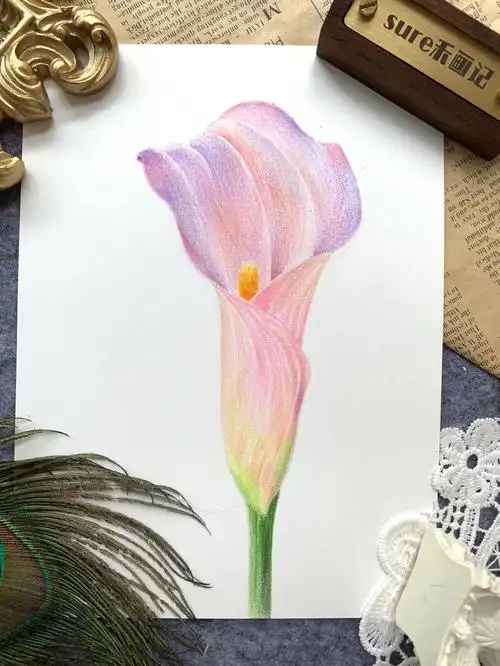 彩铅画入门  #彩铅画  #油性彩铅  #彩铅学习  #彩铅绘画  #画画的