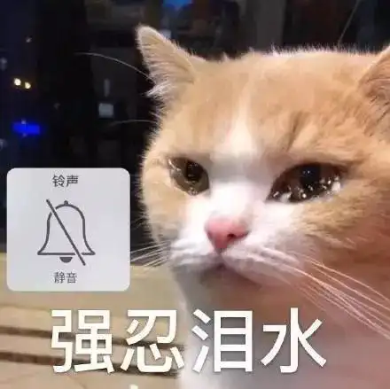 萌宠gif猫星人gif强忍泪水gif不能哭gif难受gif委屈gif