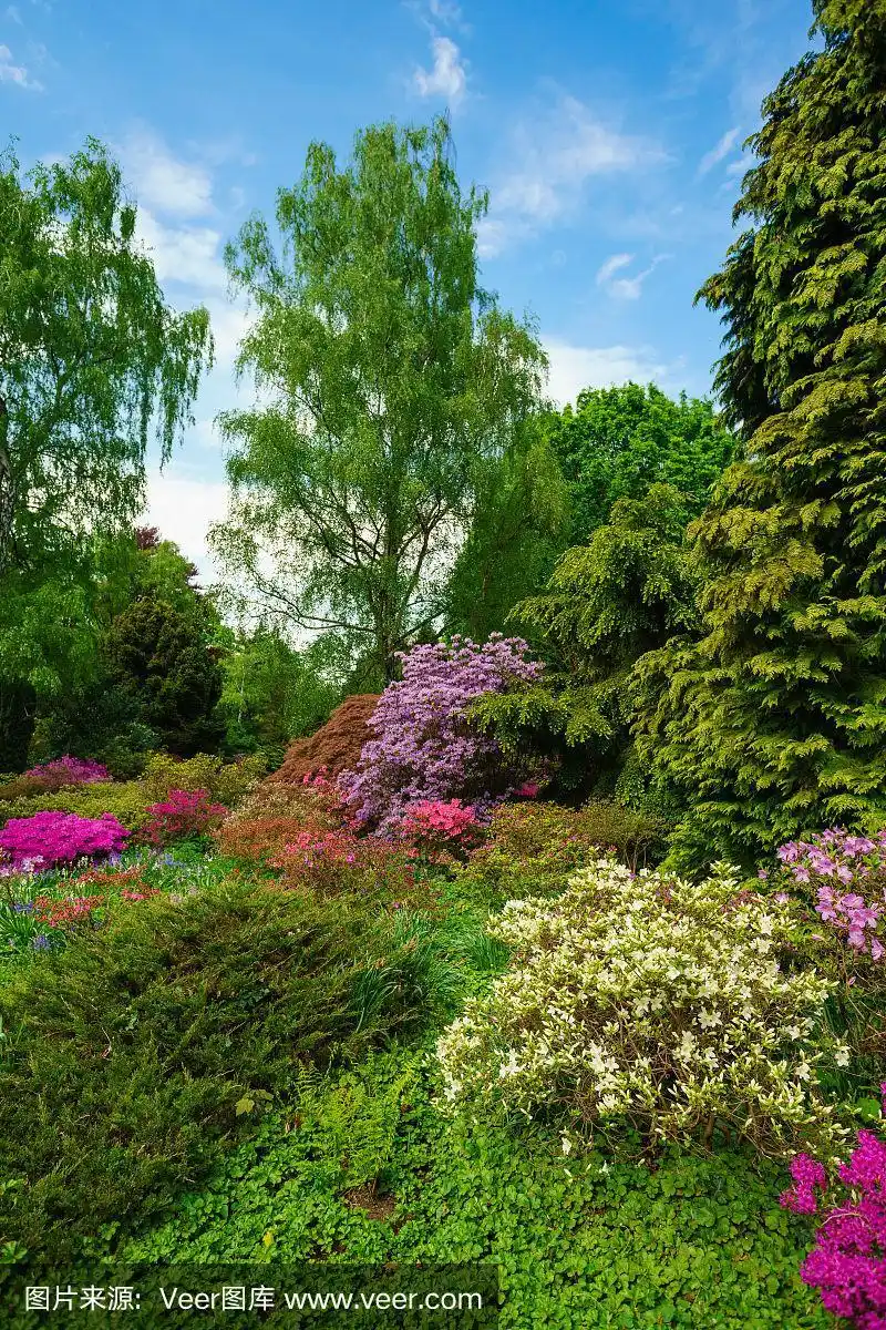 美丽的风景.春天的大自然