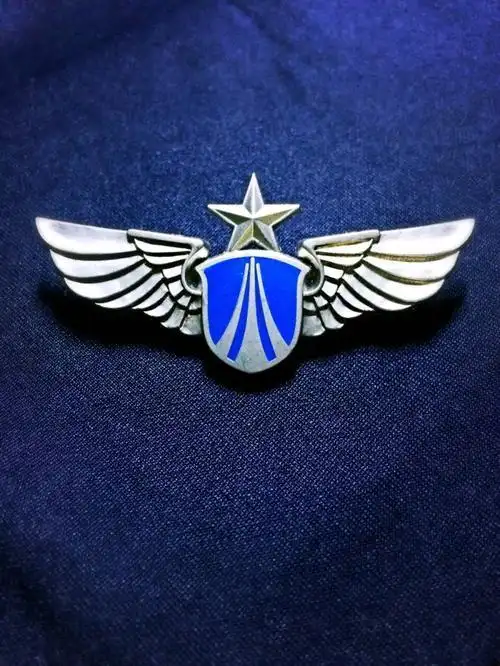 空军胸标简笔画简笔画空军飞机军徽中国空军军徽解放军军徽旬阳博客