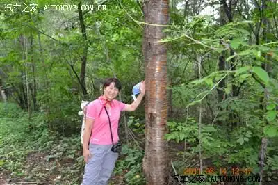 这颗树的土名我知道叫"暴马子",学名叫"不知道",哈哈.