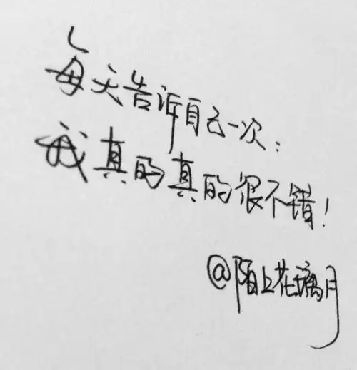 文字正能量第111句 原创手写 励志 文字 每日一句(2015·11·28)新浪