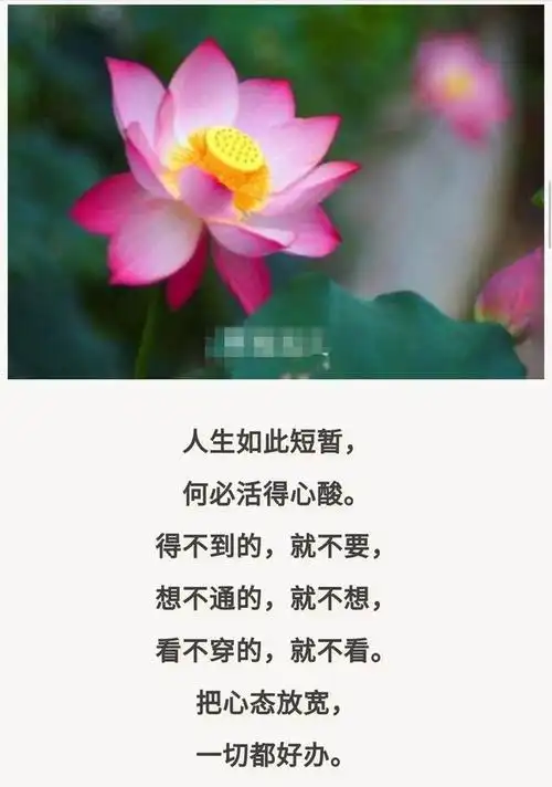 人生路上,得不喜,失不气,一切看淡,一切随缘