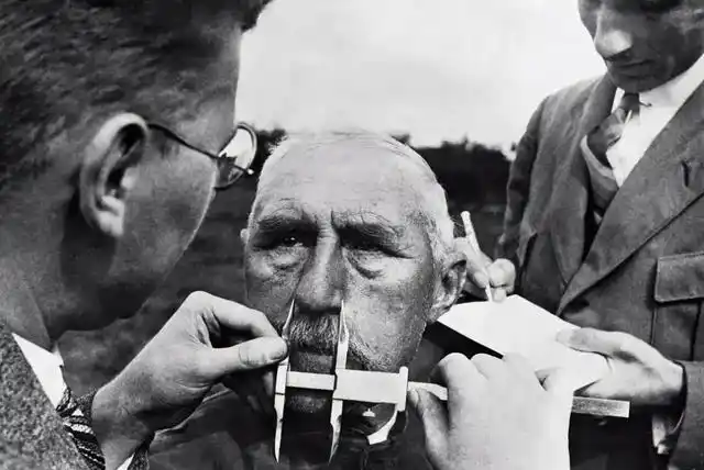 如何区分雅利安人日耳曼人斯拉夫等白人他们有何不同之处