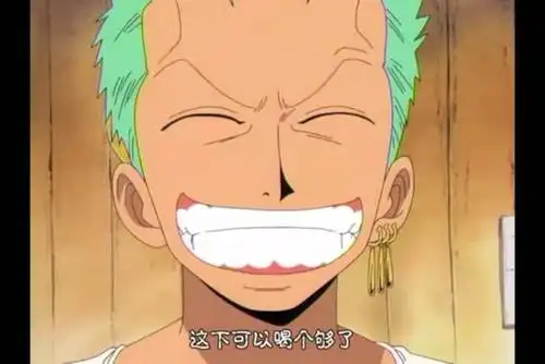 很少见到索隆笑得这么开怀