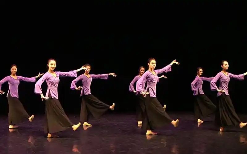 (114)中国古典舞身韵巡礼【步之势】【抬步】(14-14)