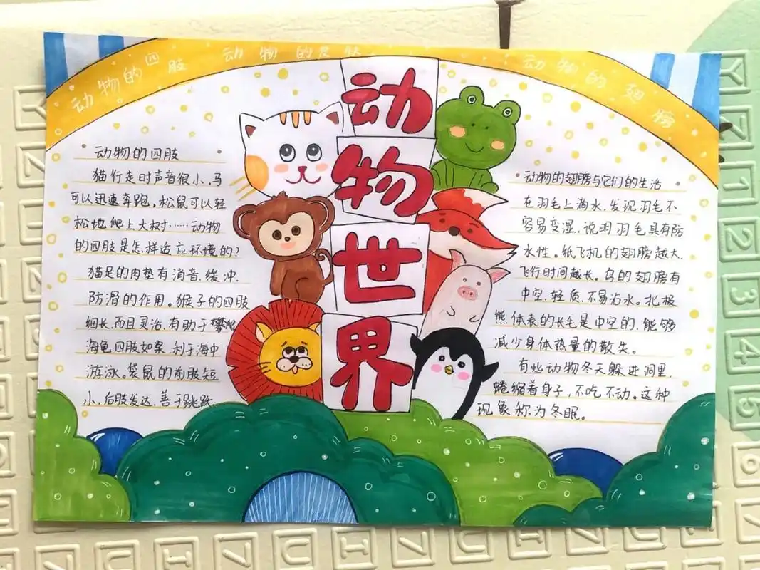 动物世界手抄报 爱护动物