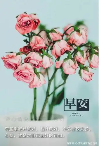 早安说说简短唯美带字图片,微信早安心语正能量图片
