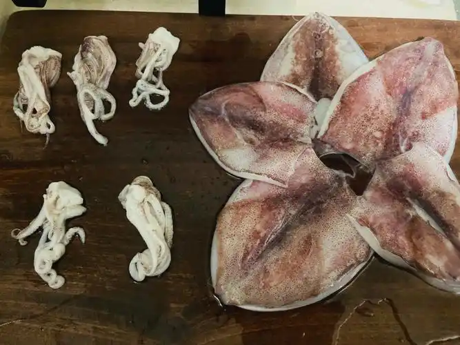 鱿鱼爱好者集合