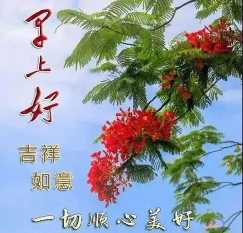 早上好温馨短信集锦早晨好图片暖心带字