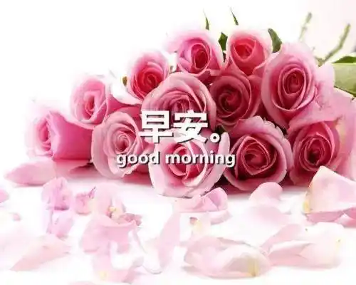 适合发微信的早安心语正能量唯美语录,句句经典!_腾讯新闻