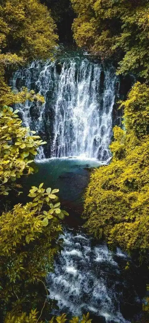 640_1386竖版 竖屏