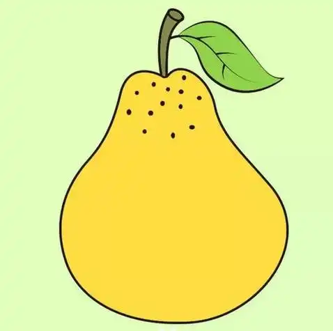 彩色的梨故事配图简笔画