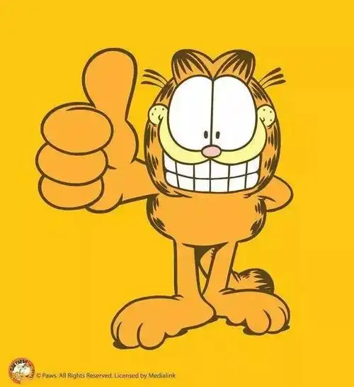 现在这只萌萌哒加菲猫终于正式登陆广州,5月18日起每天都有机会在美丽