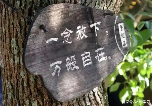 感情中,真正的放下不是删除强迫自己不联系,而是