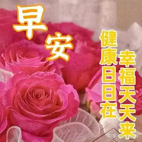美好暖心的早安正能量问候语清晨很温馨的早上好祝福图片