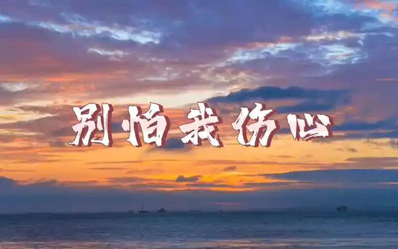 别怕我伤心翻唱