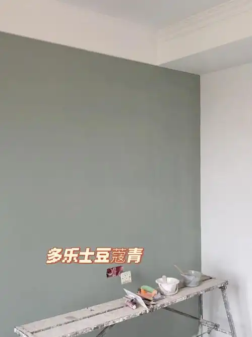 多乐士绝对不翻车的乳胶漆色号