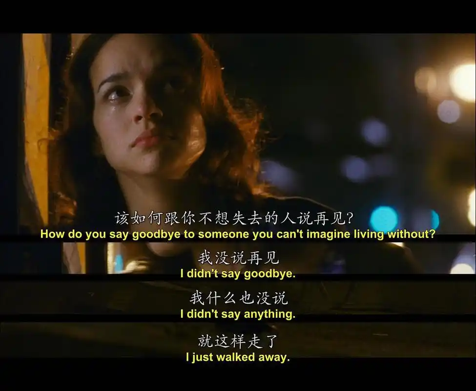 电影《蓝莓之夜》(2007)