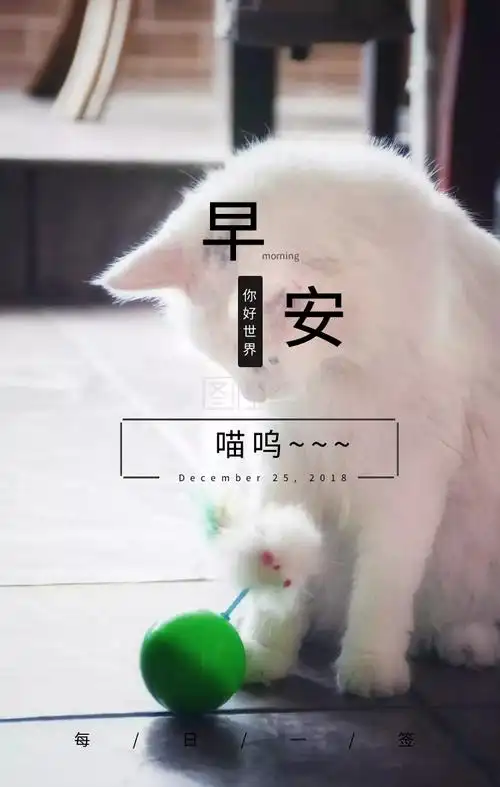 日签可爱你好早安心语简约橘猫黄色