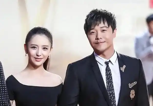 离婚不分家给前夫公司注资网友称佟丽娅对陈思诚余情未了