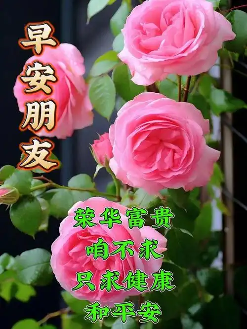 2023年9月16日早安问候祝福图片情谊真人依旧一声问候天长复地久祝