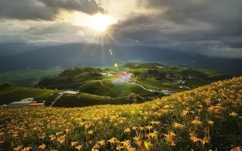 一米阳光_唯美_阳光向上有朝气的图片-真棒壁纸