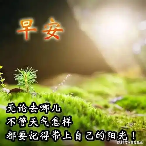 夏天早安问候祝福语图片大全动图2021_星期六