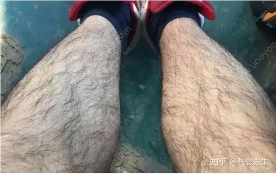 陈晨科普为什么有的男人会长胸毛