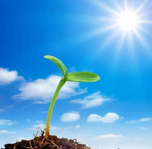 清晨,满满的阳光,内心,满满的欢喜,开始美好的一天.