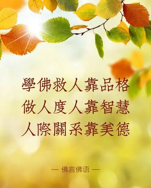 【佛言佛语】别人对你好坏就是一面镜子