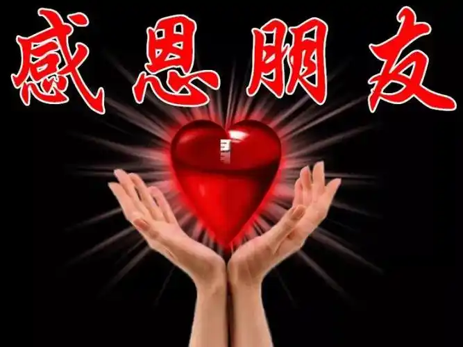 感恩朋友