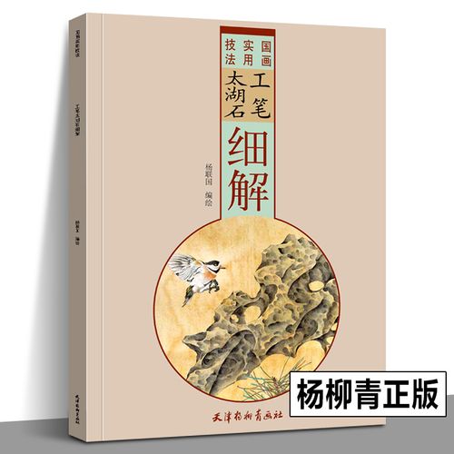 工笔太湖石细解 国画实用技法 工笔画底稿白描画稿画谱临摹画册画集