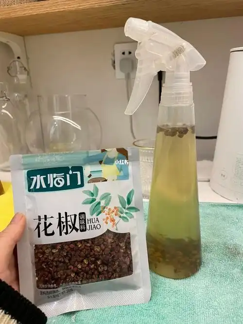 自制杀虫剂月季长蚜虫看看有没有效果