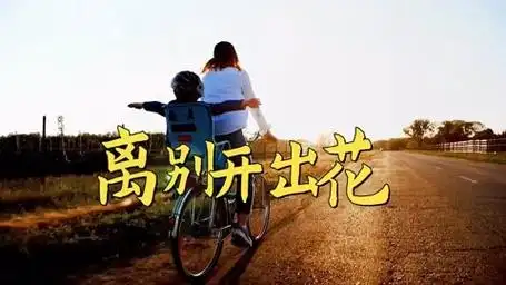 离别开出花:我终将会绽放,无需羡慕别人的光