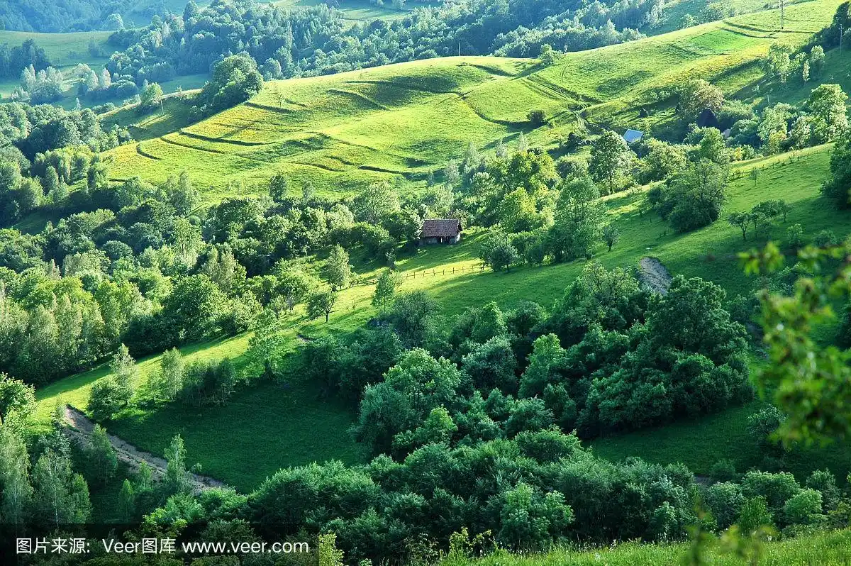 春天的草地和绿色的山丘