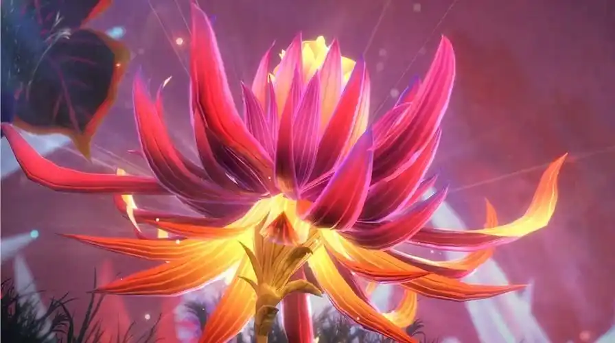 斗罗大陆:唐三发现"奇茸通天菊",看到它的花瓣,菊斗罗眼红