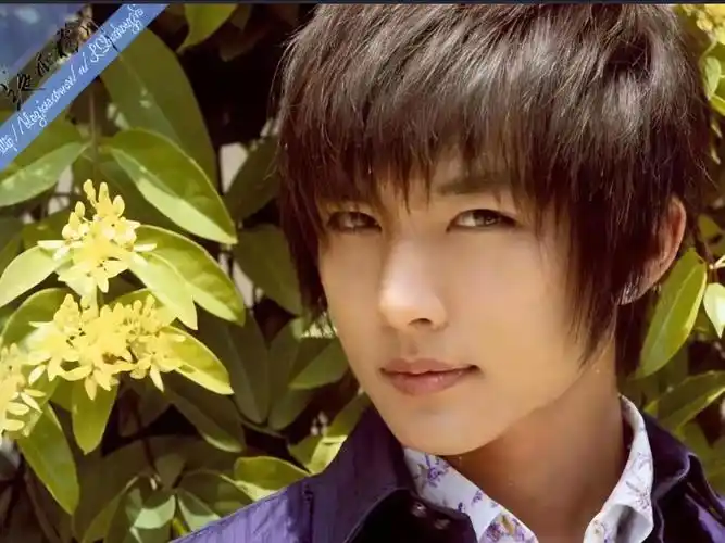 飞轮海南京/澳门演唱会solo《tiamo》