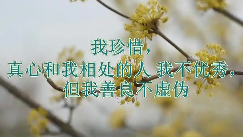 我珍惜,真心和我相处的人 我不优秀,但我善良不虚伪